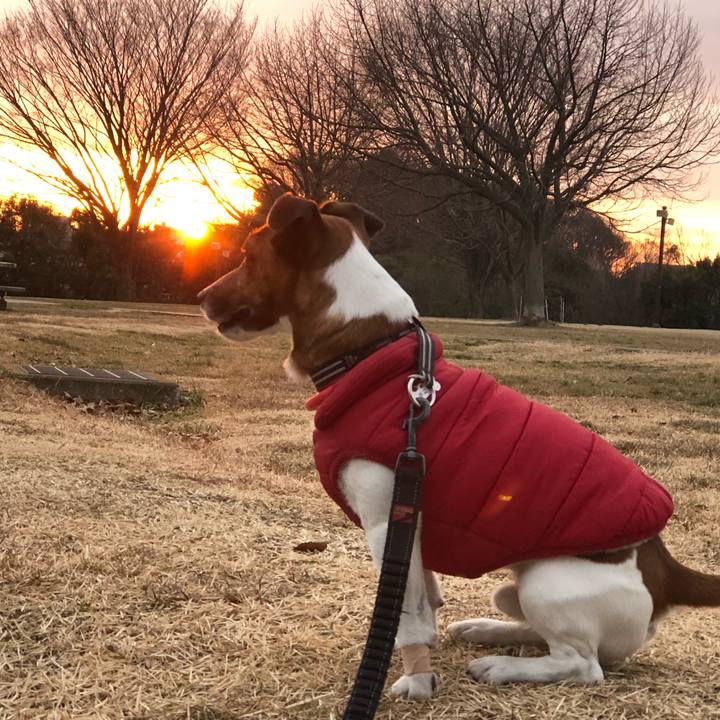 D6542ec7 39e0 485d 9a25 cbbf34194537 1548803706877