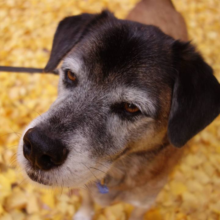 D654d8fd 1abb 49d5 b337 f83cab8cc477 1653955251849