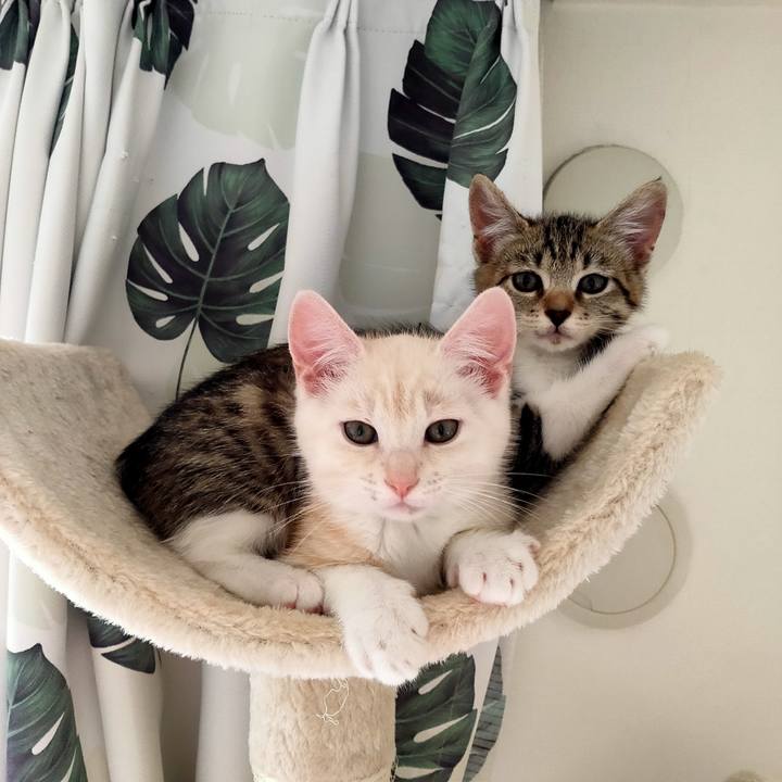 D654eb02 c1ba 4303 928a 48c718d4a49e 1624934861884