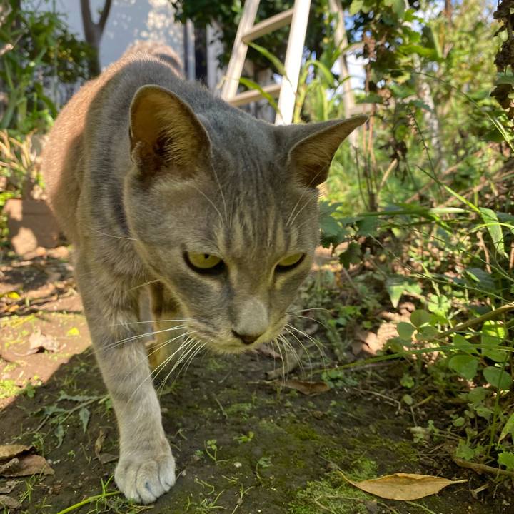 D65558a0 f0d4 46ab 832b 15a46d914b79 1633614866528