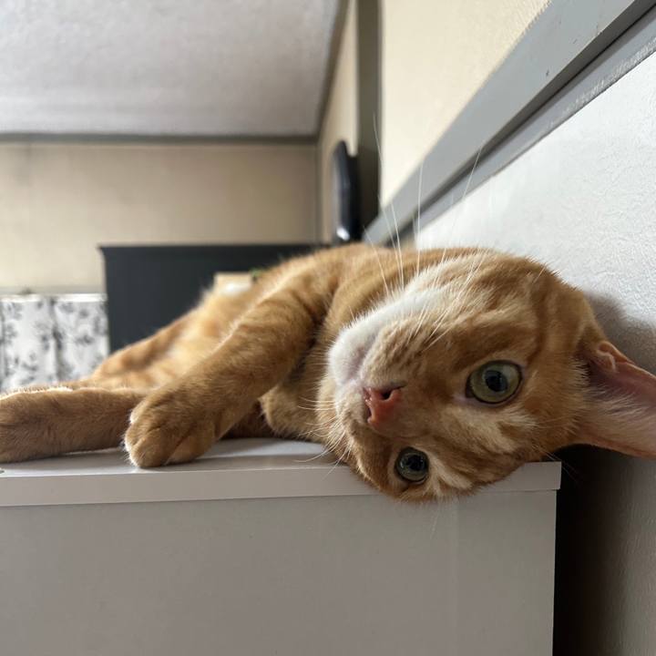 D6557e15 8687 4263 9b3d 861fe02943a6 1692000820545