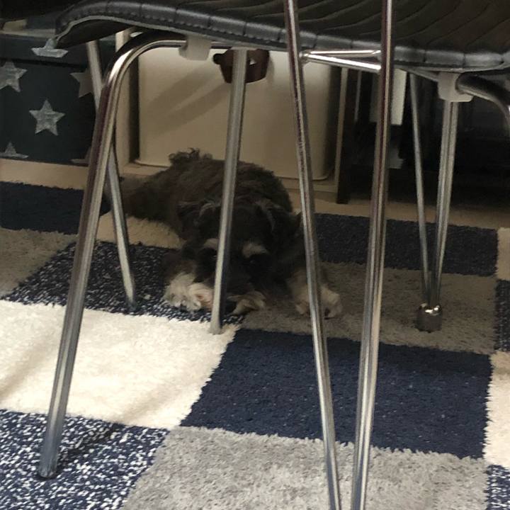 D655822f aa86 4348 b0e7 c9cc2b46b8b7 1569064035175