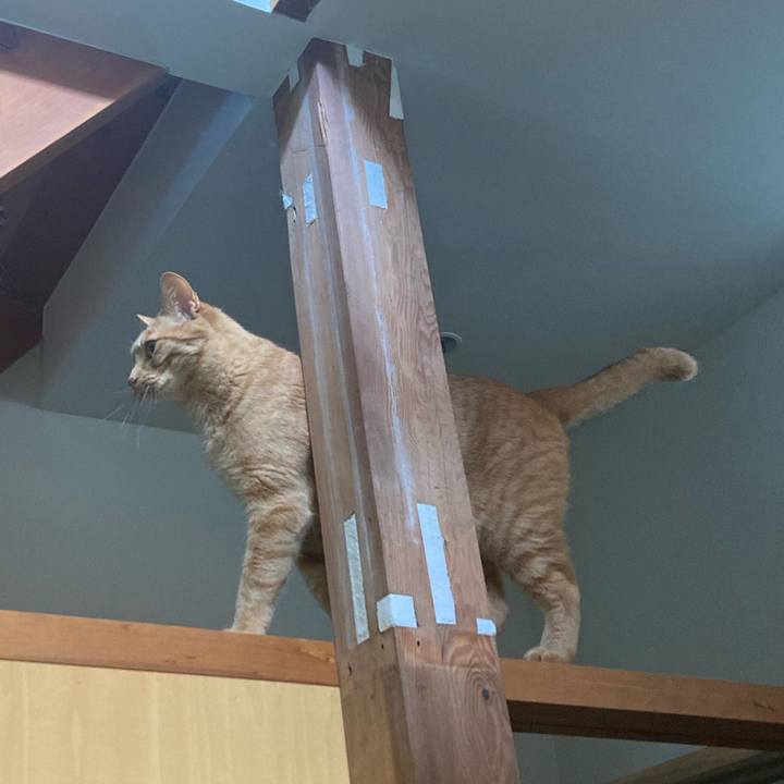 D65592e3 d2cc 4946 9ae4 71cba308aea8 1684545471985