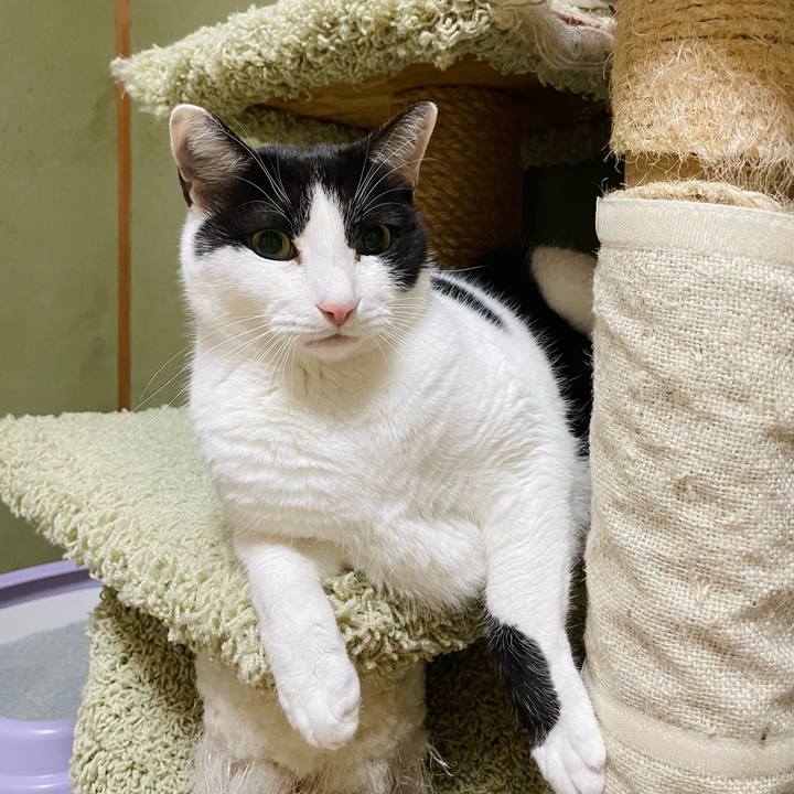 D655b202 71eb 42de 92e0 d4b3450e49dc 1642644898153