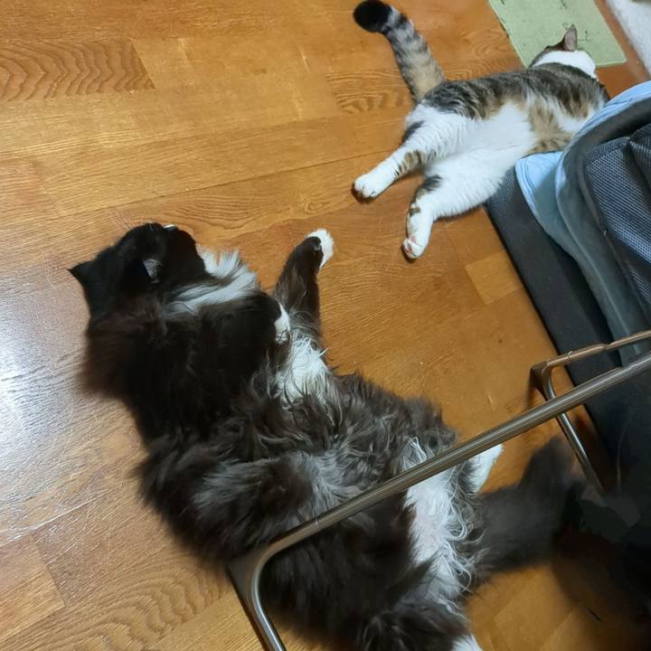 D655d045 23f3 429f 9b91 1b94e43b979d 1722077075290