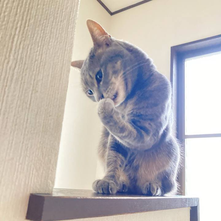 D656154e 808b 4c61 b9a8 6307e411dfd2 1655195839960