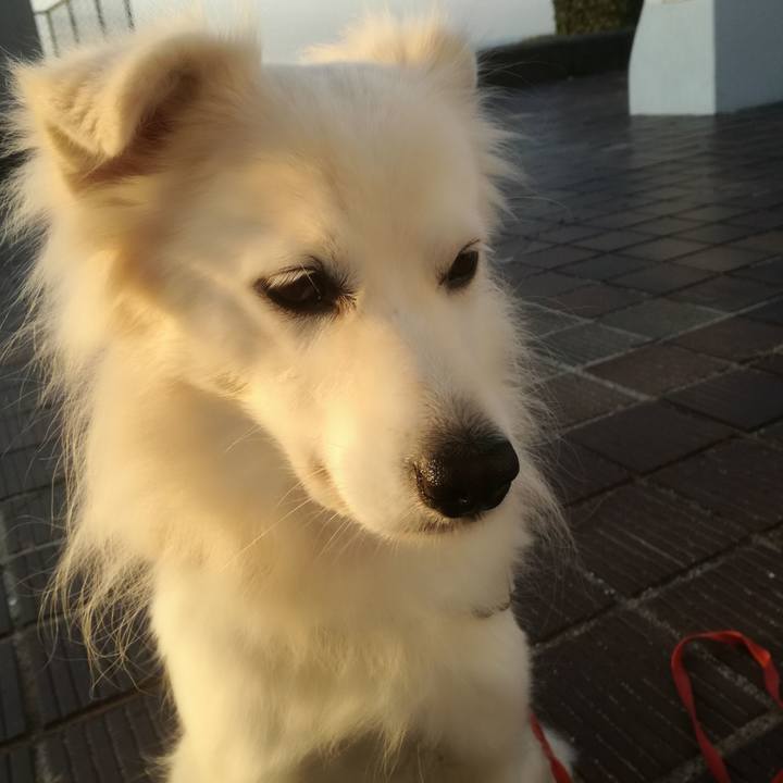 D6562436 2490 4da6 a5d4 04b8925f71b1 1511748778931