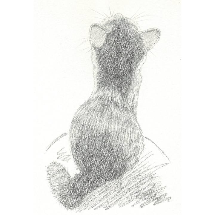 D656295c e6c4 45bf 9376 f7d31453ae73 1536753849806