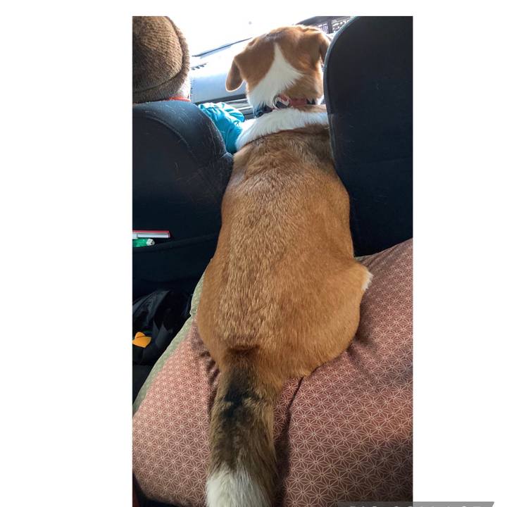 D656471f 1555 4c54 a8f7 7227d57a466b 1671452791133