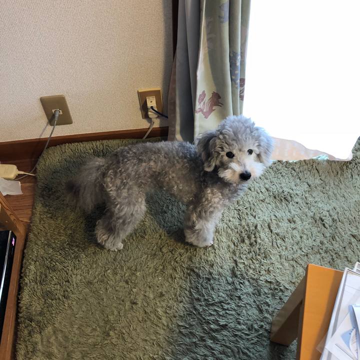 D6566de7 7caa 46b4 a873 56cb96b53bdd 1527032046911