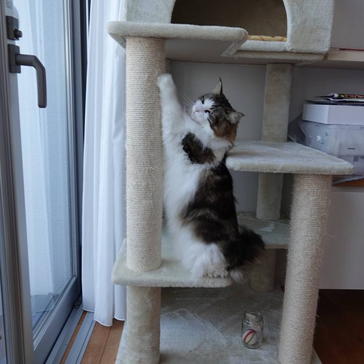 D65672bd 89f5 4843 8980 003a50a8ac39 1608092849266