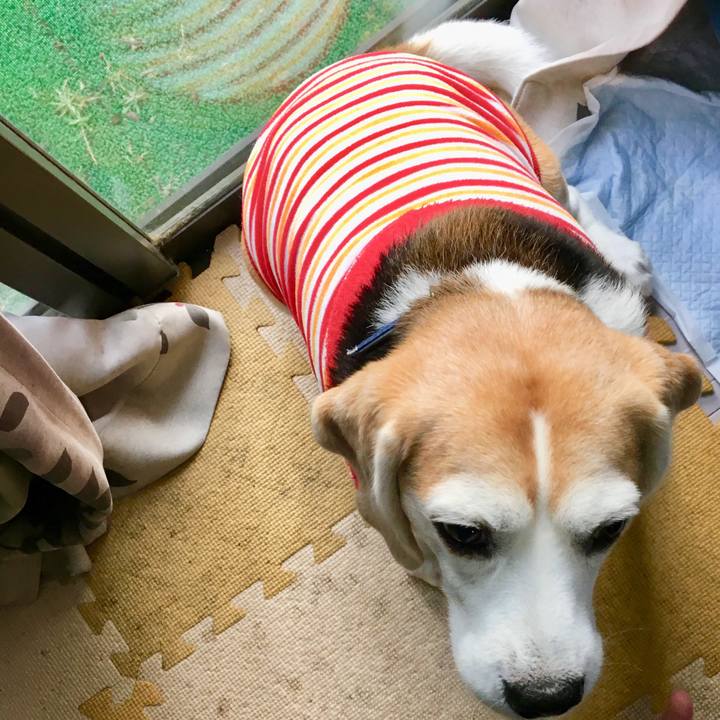 D656e4d1 fea7 4baa a5b5 0b822b4ed335 1732226659683