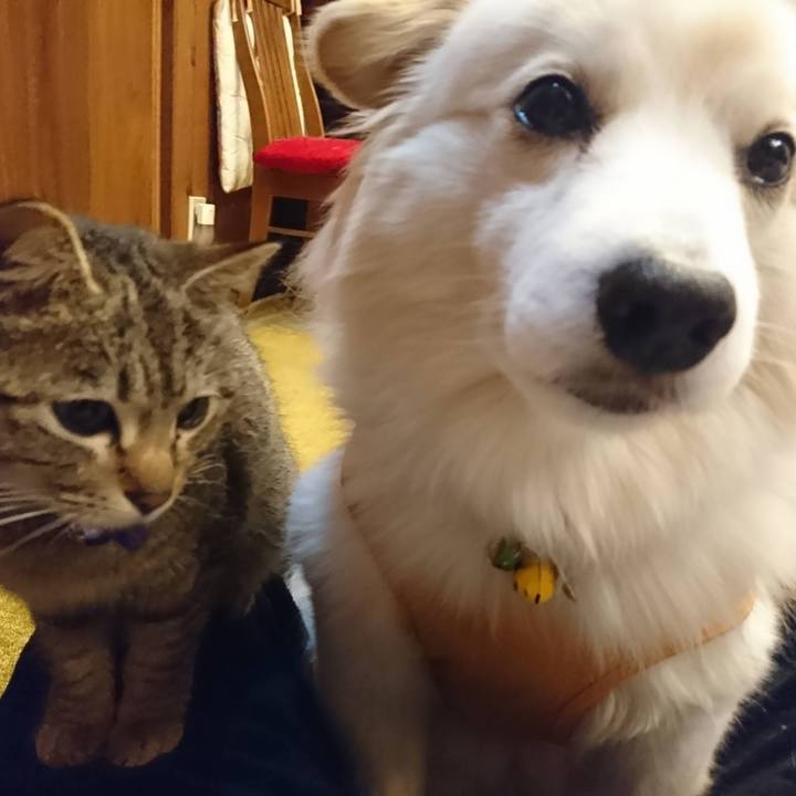 D656e699 c10d 477d b078 cd80e42c0943 1645492493267