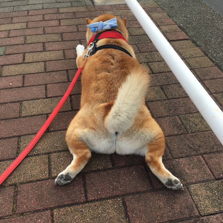 D65719b5 182a 4cea bb49 547083b0dda5 1597793589047