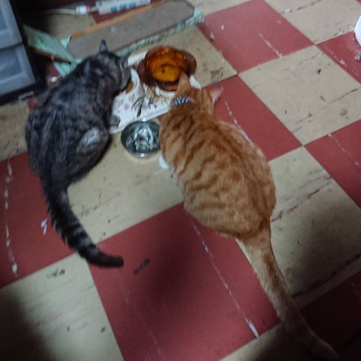 D6571ff8 0da8 43a7 8b02 14cd7d0e789a 1568791129010