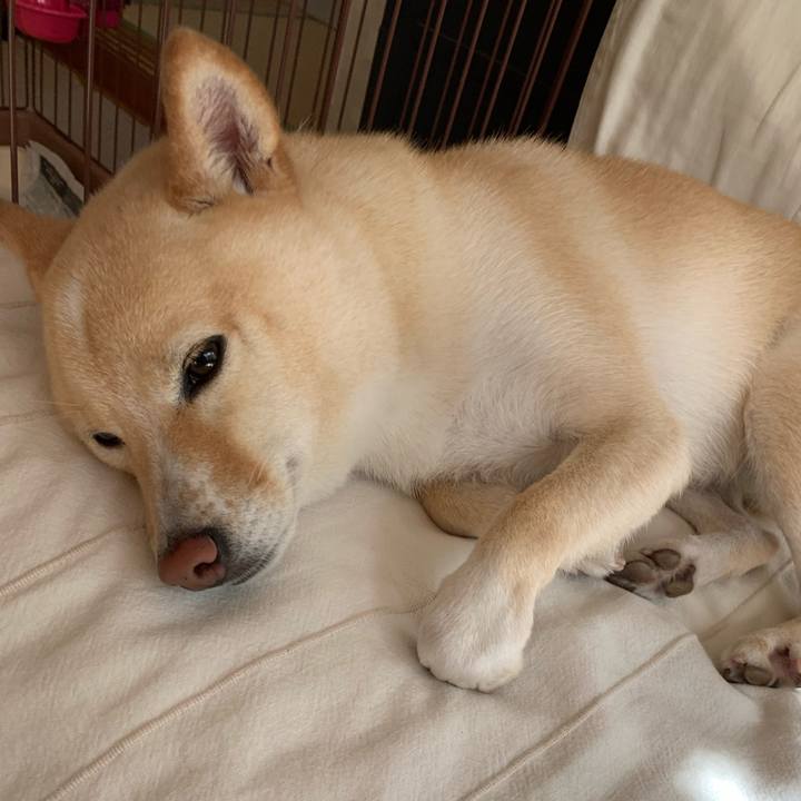 D65727bd 034f 4ad2 b406 bc22fc0f131b 1633137131110