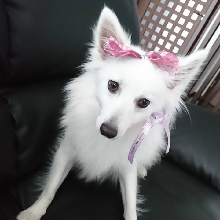 D657355d 22f9 415c 9184 60c23729f793 1524209009273