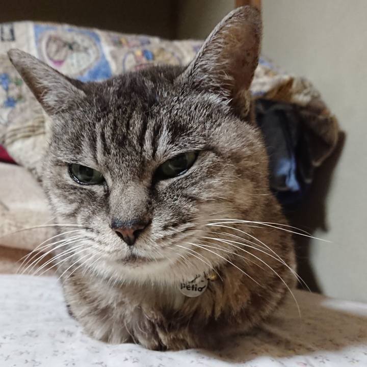 D657ad90 1b33 42c7 bffe 44cbfc51d6a5 1570179730743