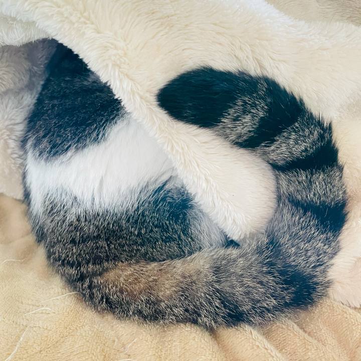 D657c92a 4dff 41b4 b9c4 da04d946c64f 1609292898161