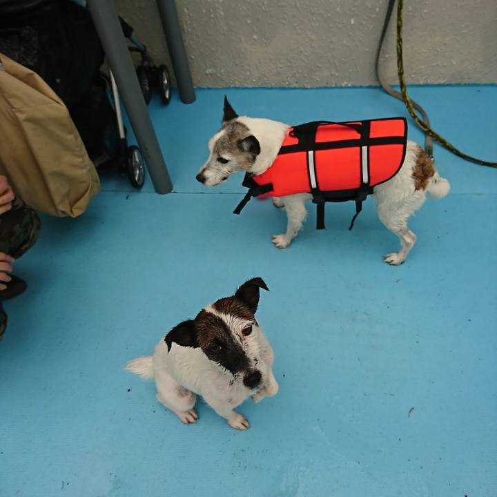 D657ecca c93c 4496 8b73 8745fc553ec9 1652333608909