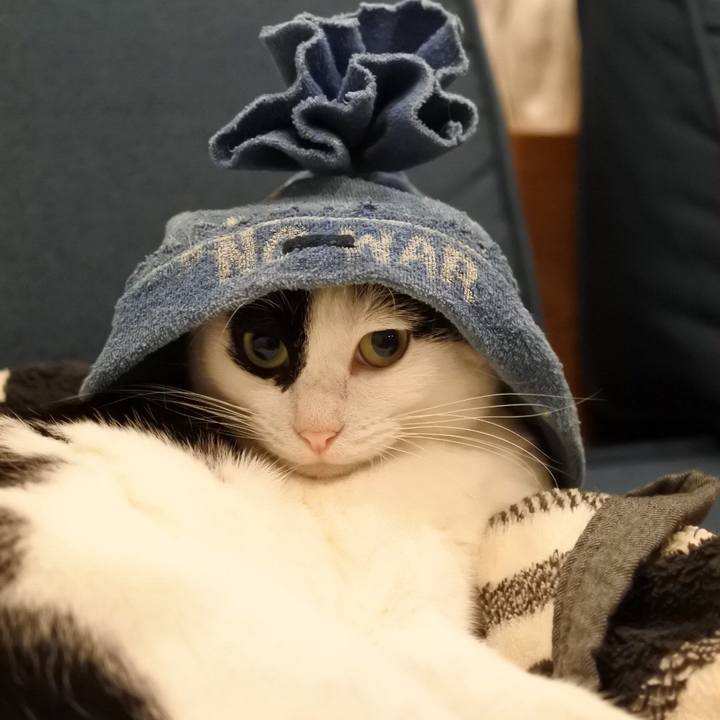 D6581728 a989 42f3 a27d 5827328a3e04 1521286293604