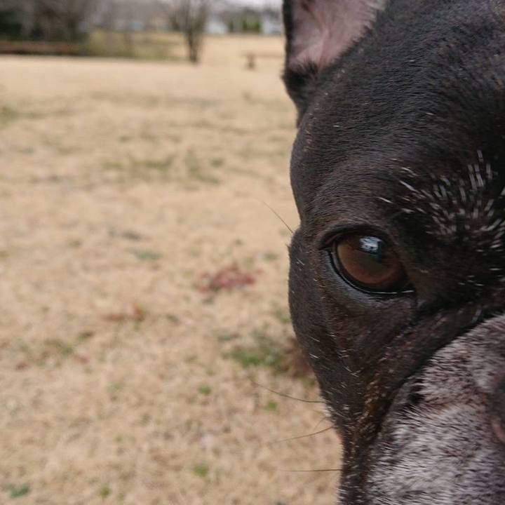 D6588437 4523 457b 8363 722aa13f70c5 1582455879256