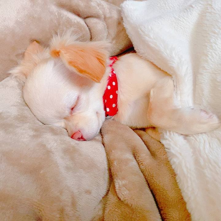 D658ca5a 6c3a 4999 bd52 f48ff416391e 1629670455376