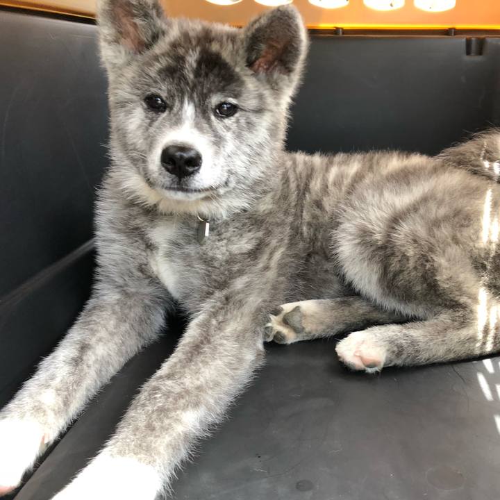 D658cb2a b0b7 4bd0 9080 e85ba1f54ed4 1557803274687