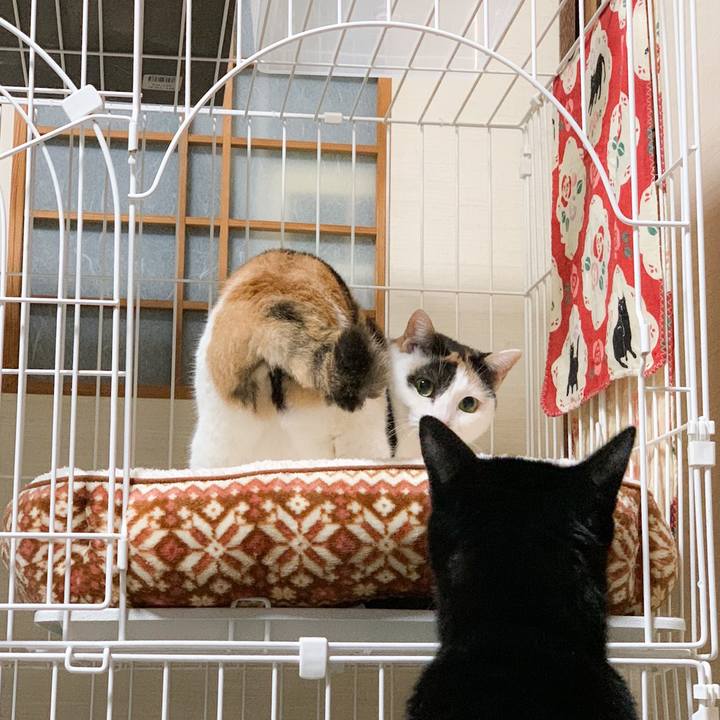 D658d0c1 55dd 4754 98d0 6c1916a0f0f4 1574042252142