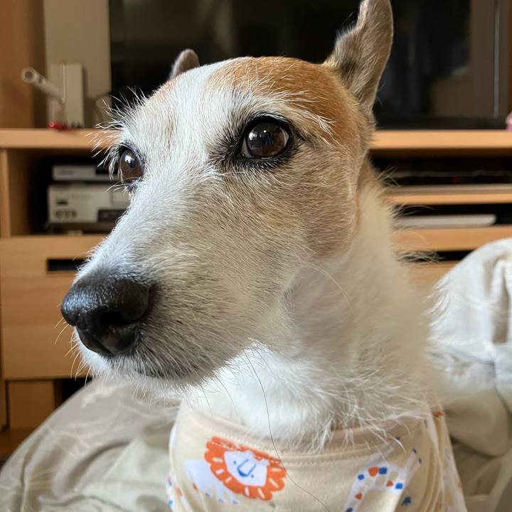 D658eb40 7139 4b4a 8d60 b72a53717df3 1718605566811