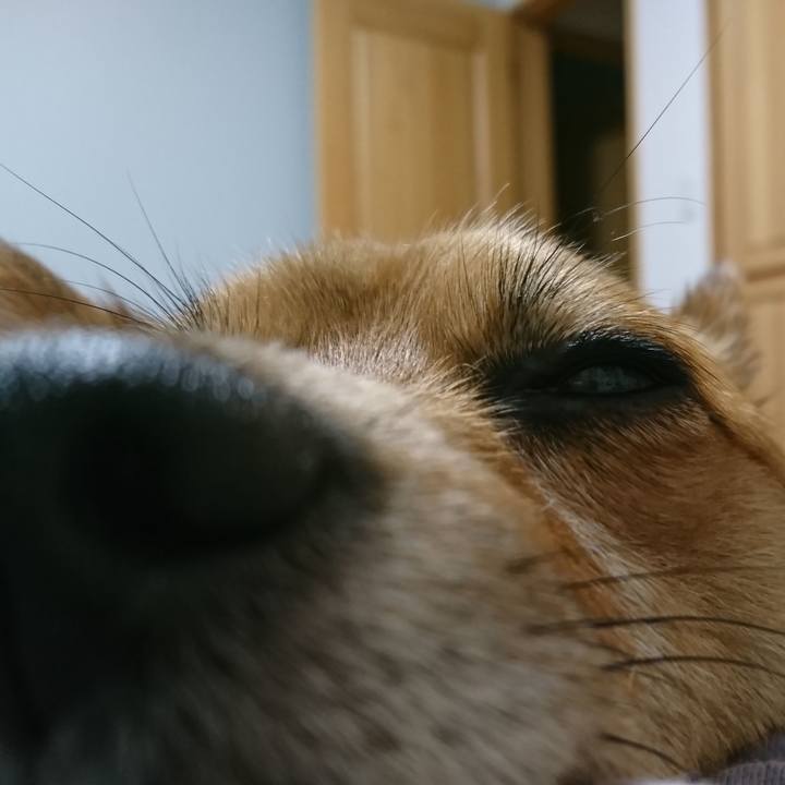 D658eeae 7073 4148 bcbb 6947463bbd82 1528900272104