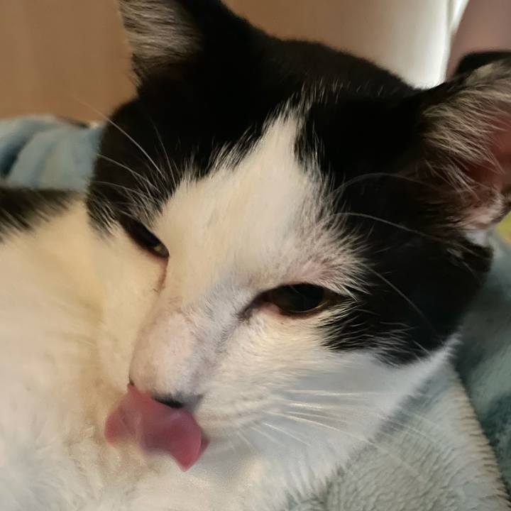 D6595591 b4ab 4b57 b3cf 602874cac71c 1625294548836