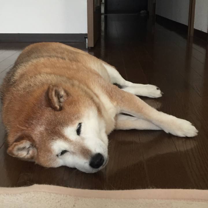 D659c287 128a 443b 9e96 08150efe05d4 1557121805983