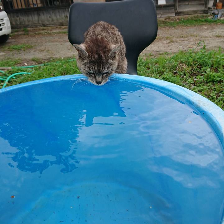 D659c929 a512 460c 96cd db9e28d9baf8 1596782471654