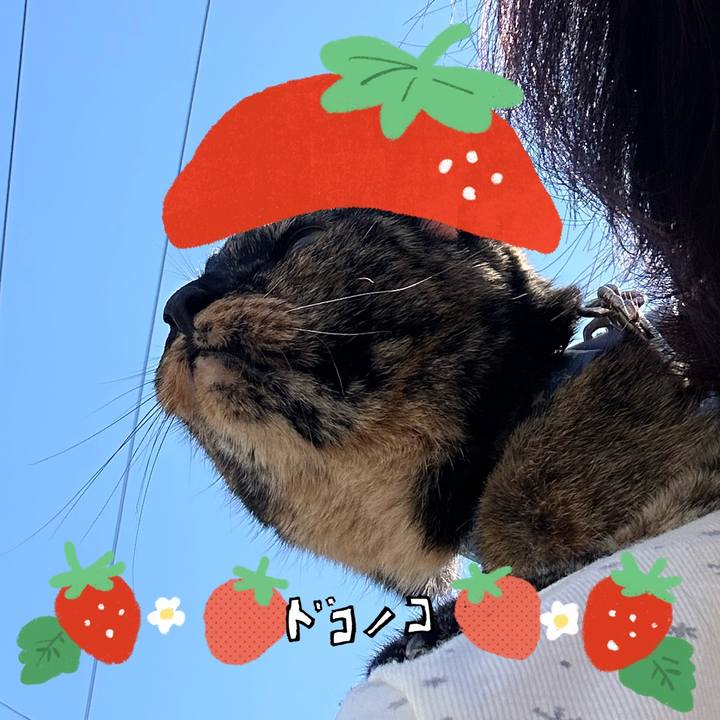 D659cff5 41bb 413f 97e7 50f7d6519173 1775865592778