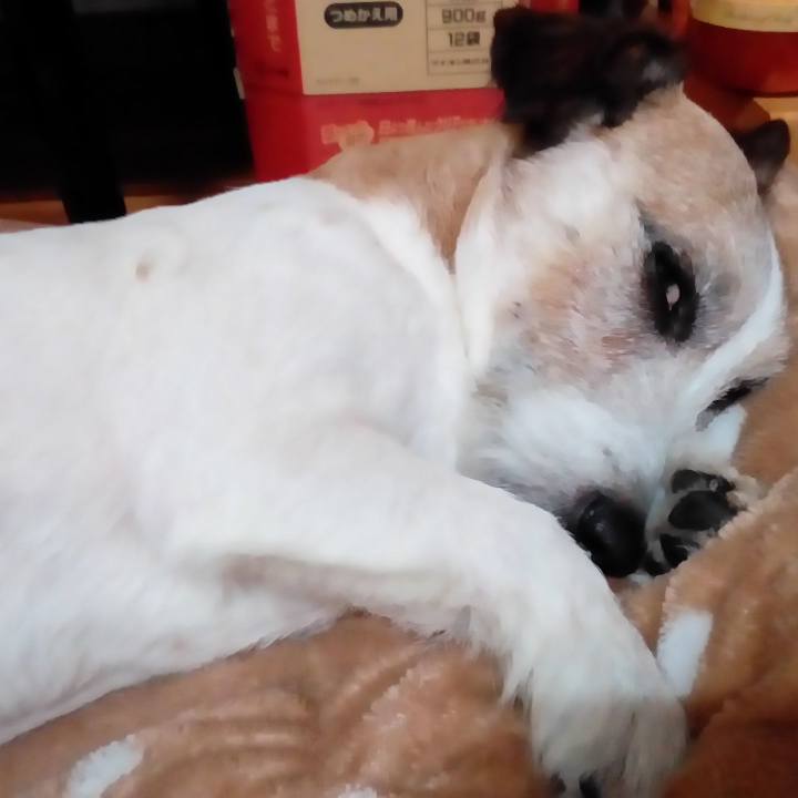 D659d702 4314 400e 859d 52e371f7c992 1510401595416