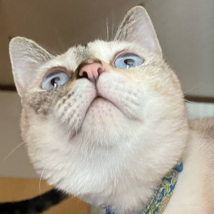 D659d711 5410 468d 8d79 7280099f550f 1726717038917