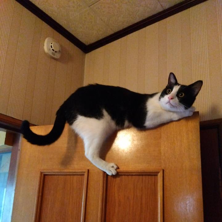 D65a0f48 5763 4b84 a0e2 04dd03f17116 1658968316438