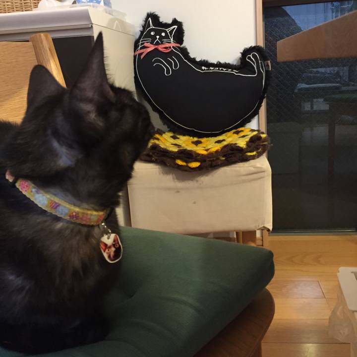 D65a0f77 54a4 44a1 a876 1aa520bef765 1539690317480