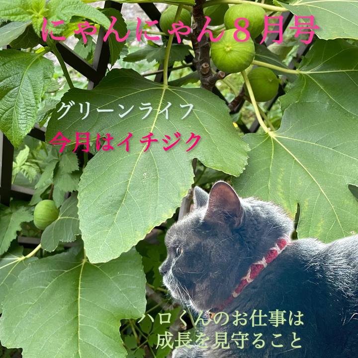 D65a2295 9a65 4d0d bd1c 50cfbd9bd5e5 1785759086837