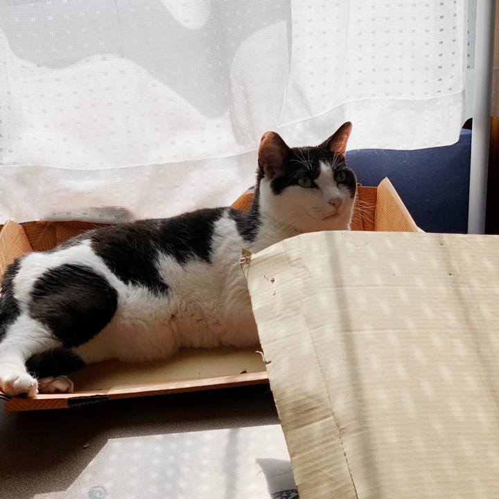 D65a4e2c 81ad 4cc6 8be0 fe49c6977bbd 1600219549495