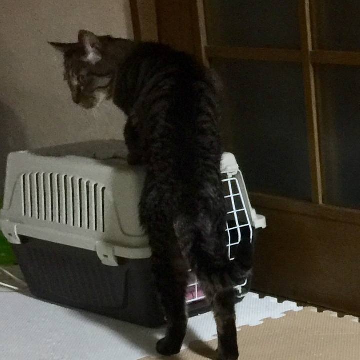 D65a5378 46a2 4eff 8049 2fb3c12dae6f 1522663590320