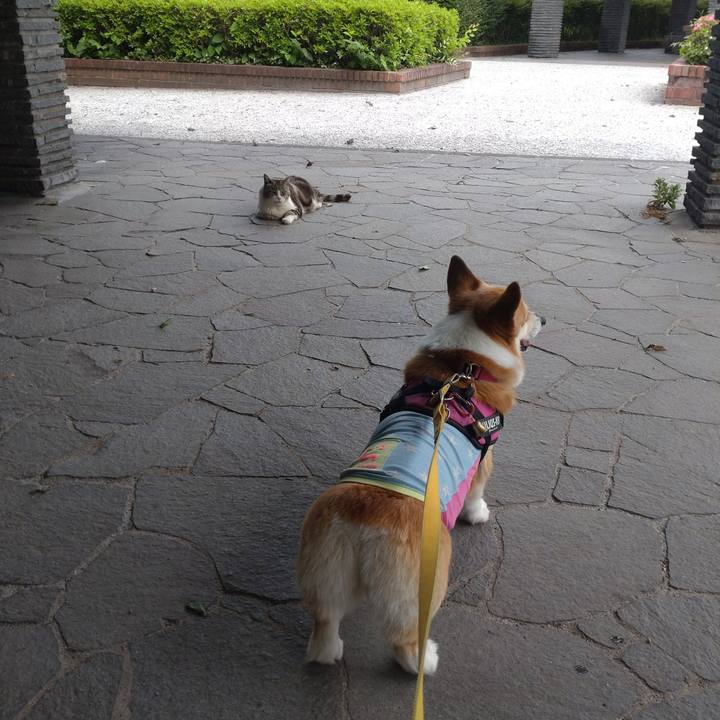 D65a5eb9 4e3f 47ea 888d 35a326a30914 1685886262414