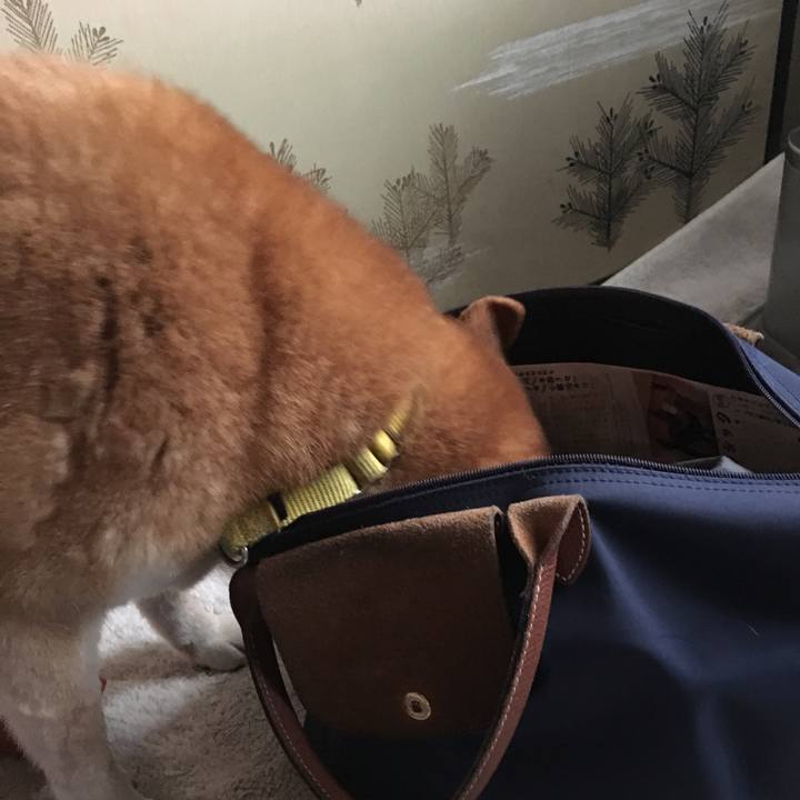 D65a6465 6404 46ff a5f4 32e0268e5659 1525419685637