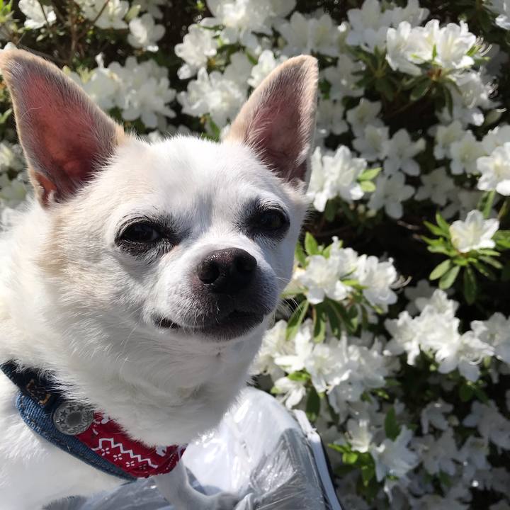 D65a72eb ae7d 4311 9e19 85feca730330 1591704432722