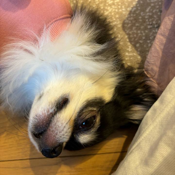 D65a74e0 4739 4bbd 9f1b 052abd5985b5 1731256420748