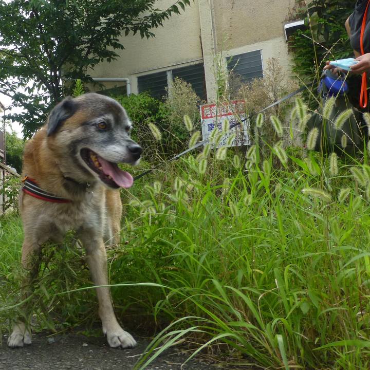 D65a97db 9bcc 41da b51f 25f8d25dfa1e 1613782730199