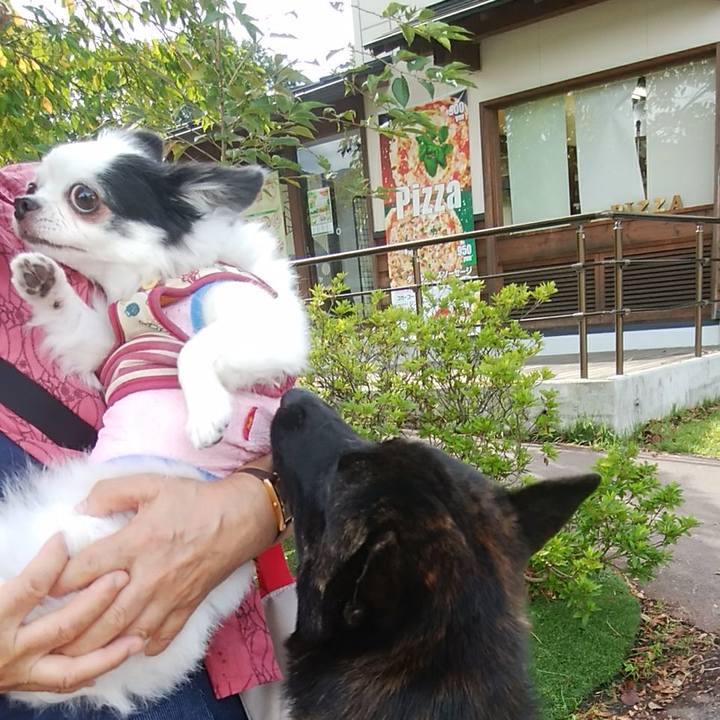 D65ad9f2 4a03 4557 b964 06b7b9fd73ba 1537197100123