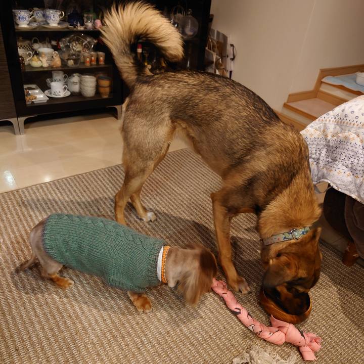 D65ae3c7 25ad 41b8 827c d3fcbd963701 1702990319078