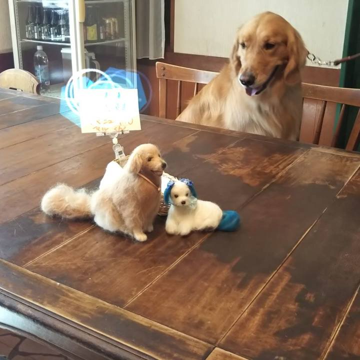 D65b1c4e 04f2 4c32 b5a7 13742d6a81fb 1524541864070